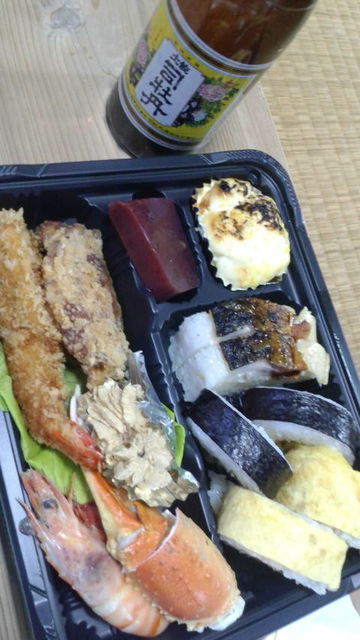 (13)「土佐司牡丹」と弁当