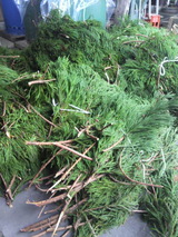 ������ο�����