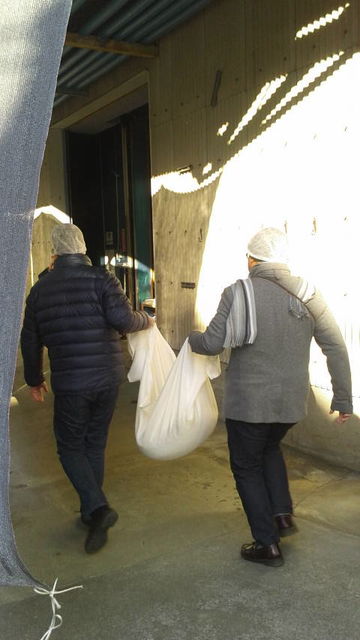 (3)蒸米を運ぶ