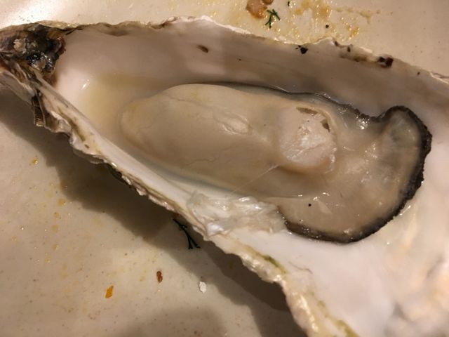 �̿�25 ��������