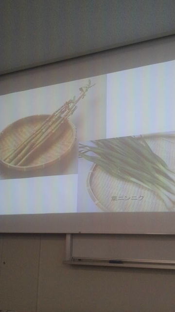 (17)���������ֱ顦�����ɥ�