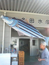 多田水産・カツオのぼり