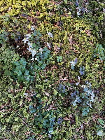 �����ȥХ����������