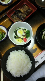 2010.4.1�����Ƥ��꿩