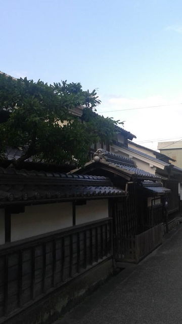 (1)��¼�ܲȽ���