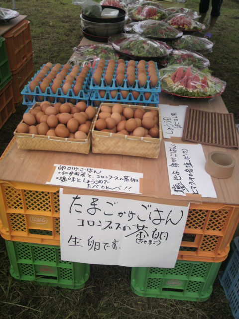 ���񤫤����ӥ����ʡ�