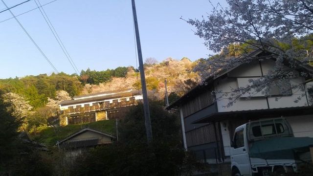 (2)遠くに見える花見棟