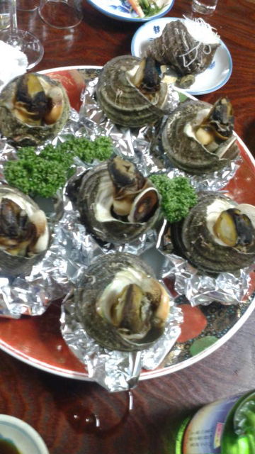 (16)¥µ¥¶¥¨¼Ñʪ