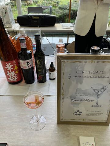 �̿�17  ��ɲ���ϥ����ƥ�