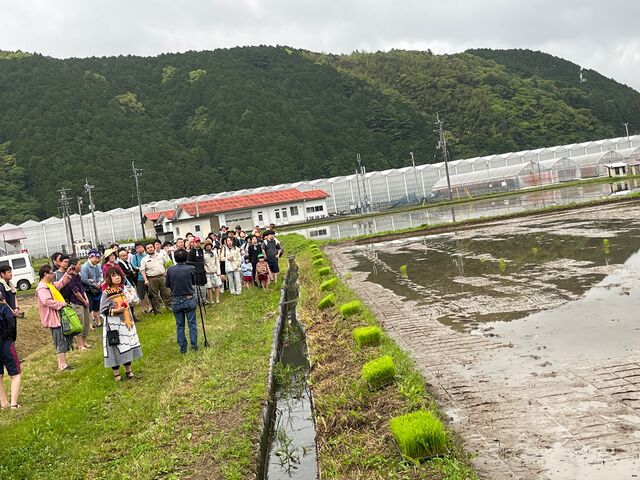 写真2 田んぼに集まる
