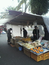 2011.1.26日曜市