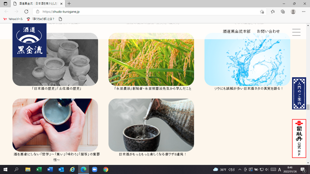 �̿�����������¶������