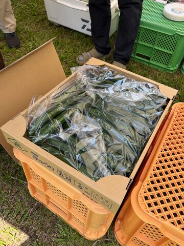 �̿�28  Ĺ�ꤵ��Υ��奦��