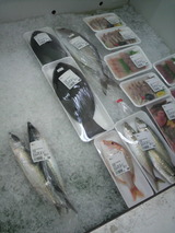 鮮魚.jpg