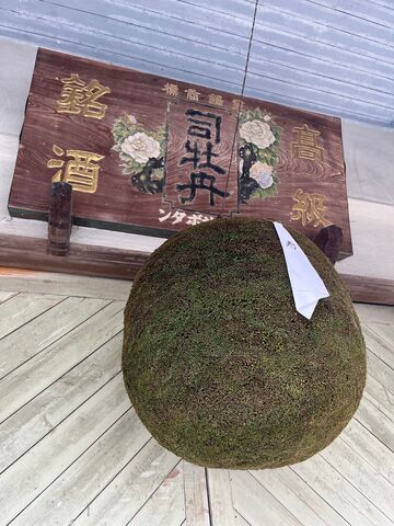 �̿�3  ���ӡ���2