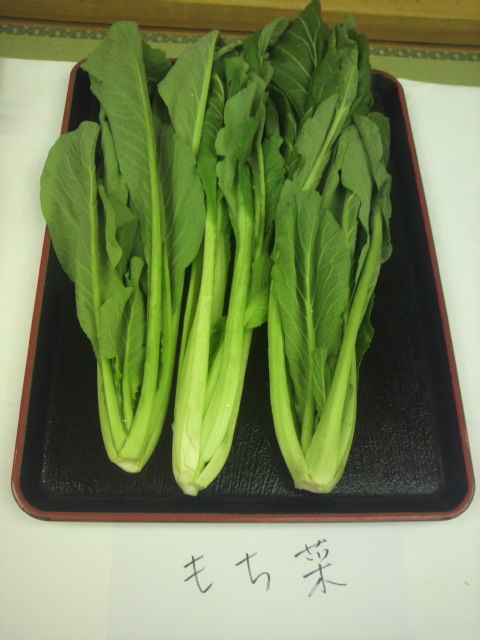 (4)もち菜