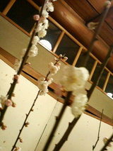 2009.2.9�ߤβ�