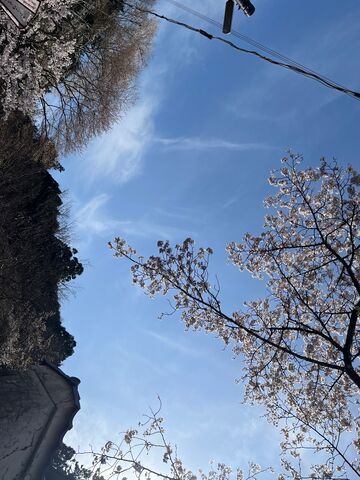 �̿�12  ����ƻ��夬��3