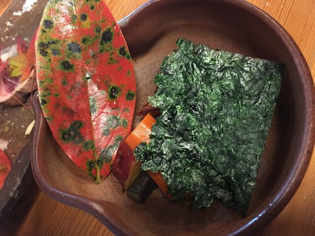 �̿�21 �������