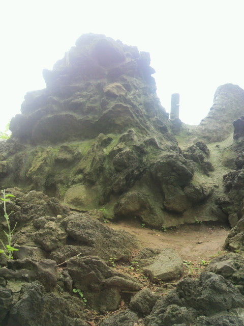 (3)���̥�ë���ٻ��ͻ�ĺ