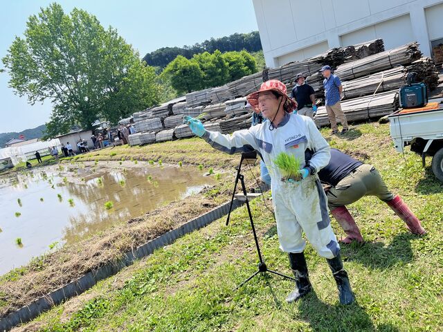 �̿�5  ����������