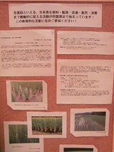 ���ܼ������Ū��ª�����ư2