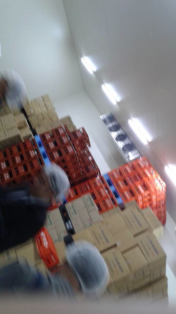 (12)�ޥ��ʥ�5�������¢��