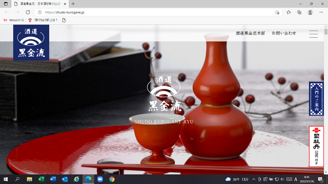 �̿�������ƻ ����ή