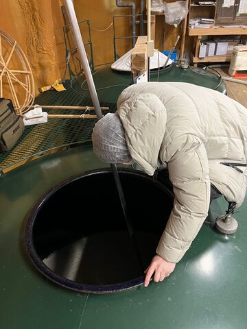 ´¾®Ì¤ó²èÁü