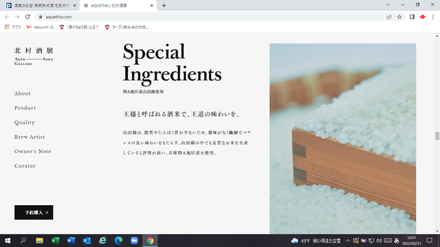 �̿�������������