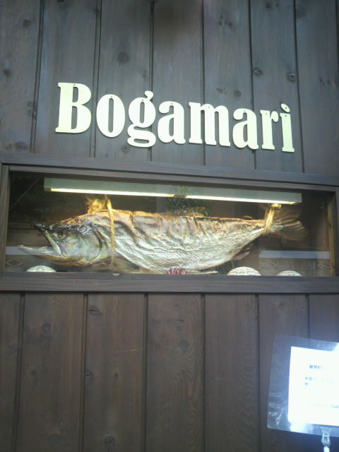 (10)Bogamari