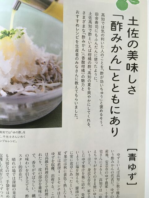 写真6 土佐の酢みかん