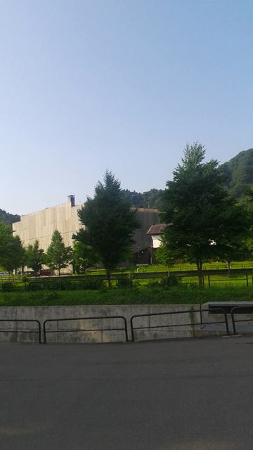 (19)�������¢����