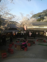 2011.4.7�ָ���