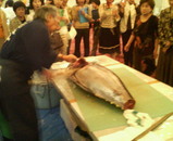 マグロ解体