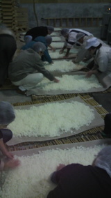 �����Ƥ򹭤���2