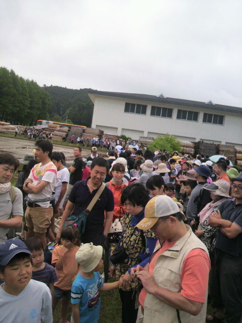 ��ƻ�˽��ޤä��͡�