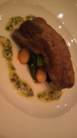 ����ݡ���