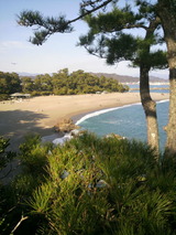 桂浜3.jpg