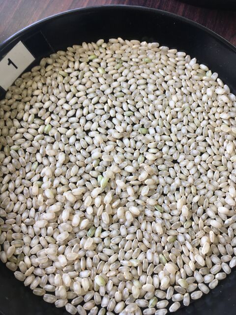 �̿�6 ���̴3