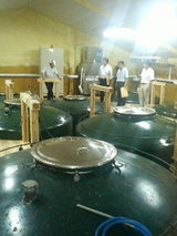 ����߻Ź���¢