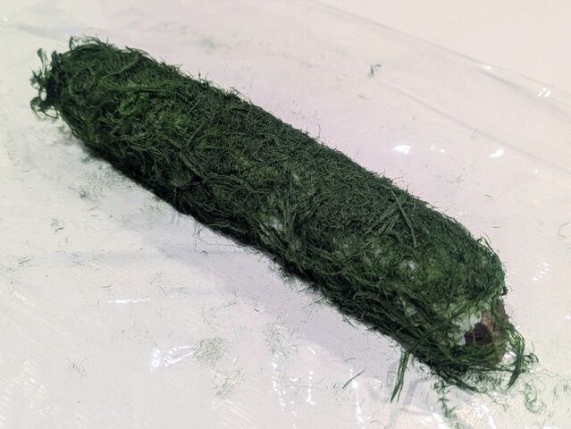 写真4 さらにスジアオノリで巻き寿司に