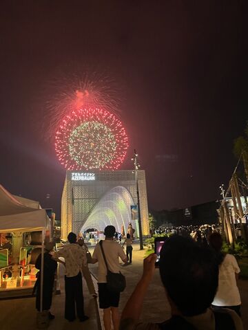 �̿�29  �ֲ�2