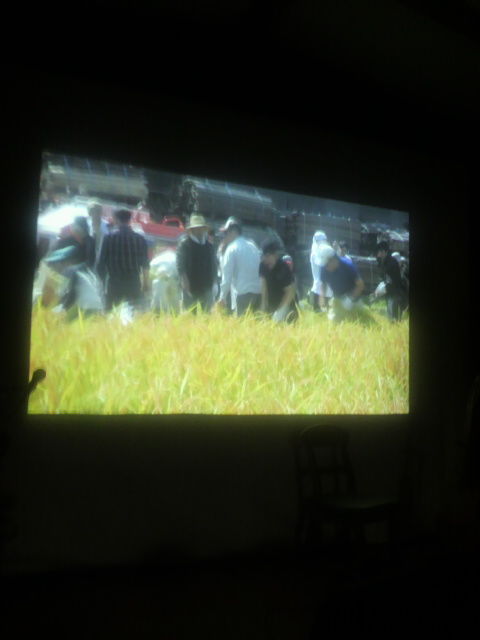 映画「メタセコイアの風」稲刈り