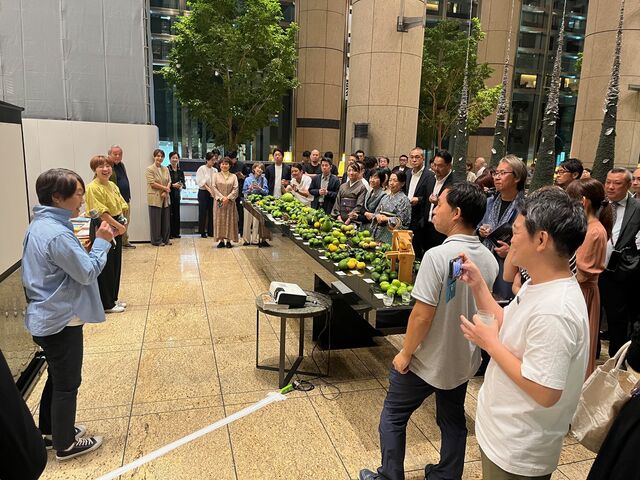 �̿�14  ë������