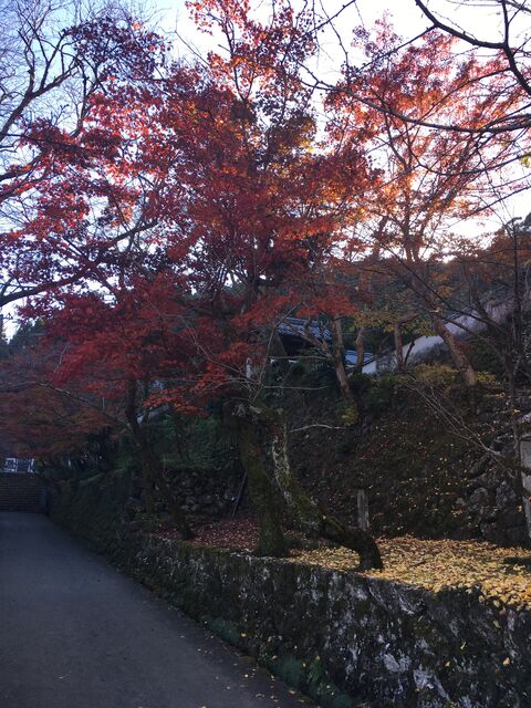 �̿�7 ����