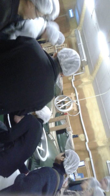 2019.2.26(10)����߸���