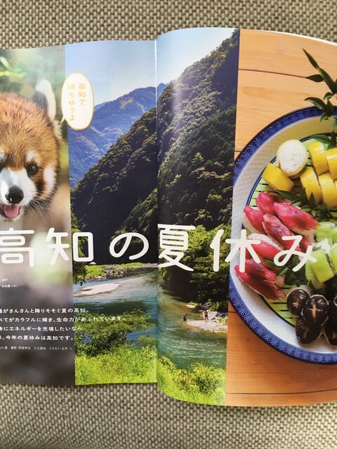 写真2 高知の夏休み
