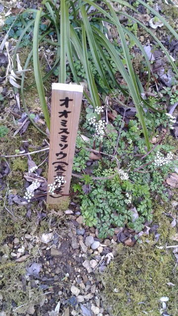 (9)�������ߥ���