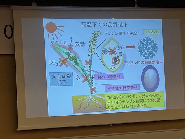 �̿�26  �ⲹ���Ǥ����ʼ��㲼